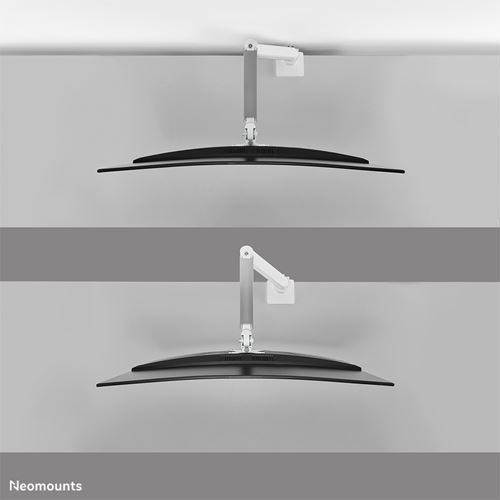 Neomounts supporto da scrivania per schermi curvi ultra wide